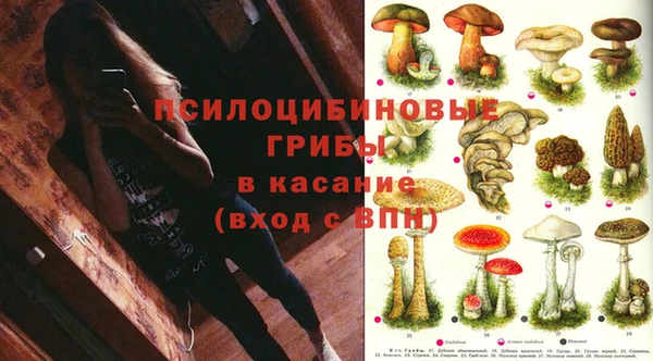 Альфа ПВП Нефтегорск