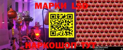 PSILOCYBIN Заводоуковск