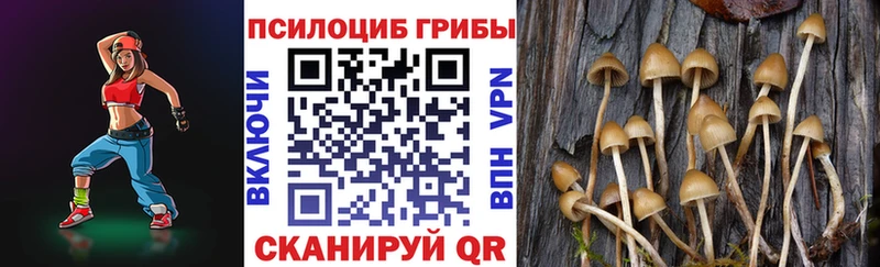 Галлюциногенные грибы GOLDEN TEACHER  Петропавловск-Камчатский 