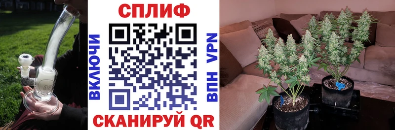 Конопля VHQ  мега как зайти  Петропавловск-Камчатский 